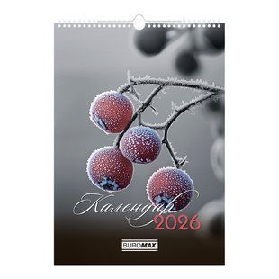 Календар настінний 2026 р., А3, 1 пружина, Emphasis on color BM.210602 фото