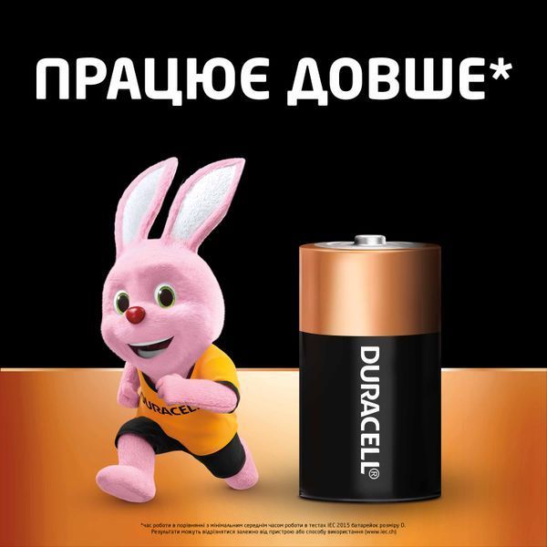 Щелочные батарейки Duracell D, 2 шт. в упаковке s.5005987 фото