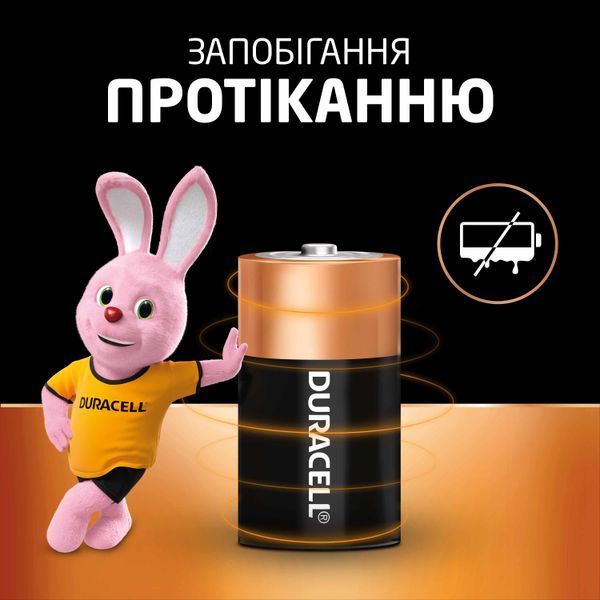 Щелочные батарейки Duracell D, 2 шт. в упаковке s.5005987 фото
