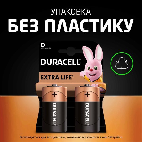 Щелочные батарейки Duracell D, 2 шт. в упаковке s.5005987 фото