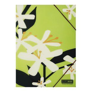 Папка А4 на гумках, PLUMERIA ARABESKI, напівпрозора, салатова BM.3908-15 фото