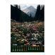 Календарь настенный 2026 г., А3, 1 пружина, Wild flowers BM.210605 фото 6