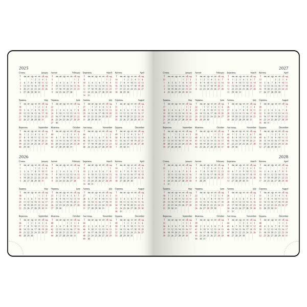 Еженедельник датов. 2026 SALERNO, A4, черный, штуч. кожа BM.2781-01 фото