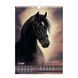 Календарь настенный 2026 г., А3, 1 пружина, Horses BM.210601 фото 3