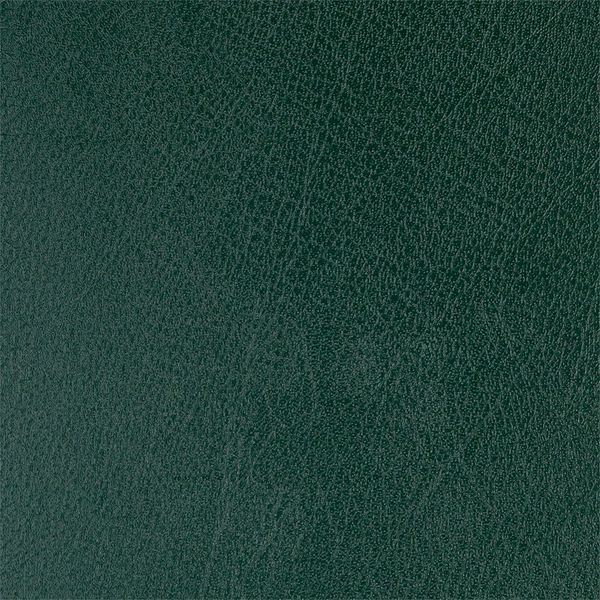 Щоденник недат. STRONG, L2U, A6, зелений, бумвініл, 336 стор BM.26050-04 фото